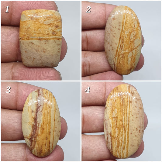 Picture Jasper Cabochons: Natural Gemstone, AAA Quality