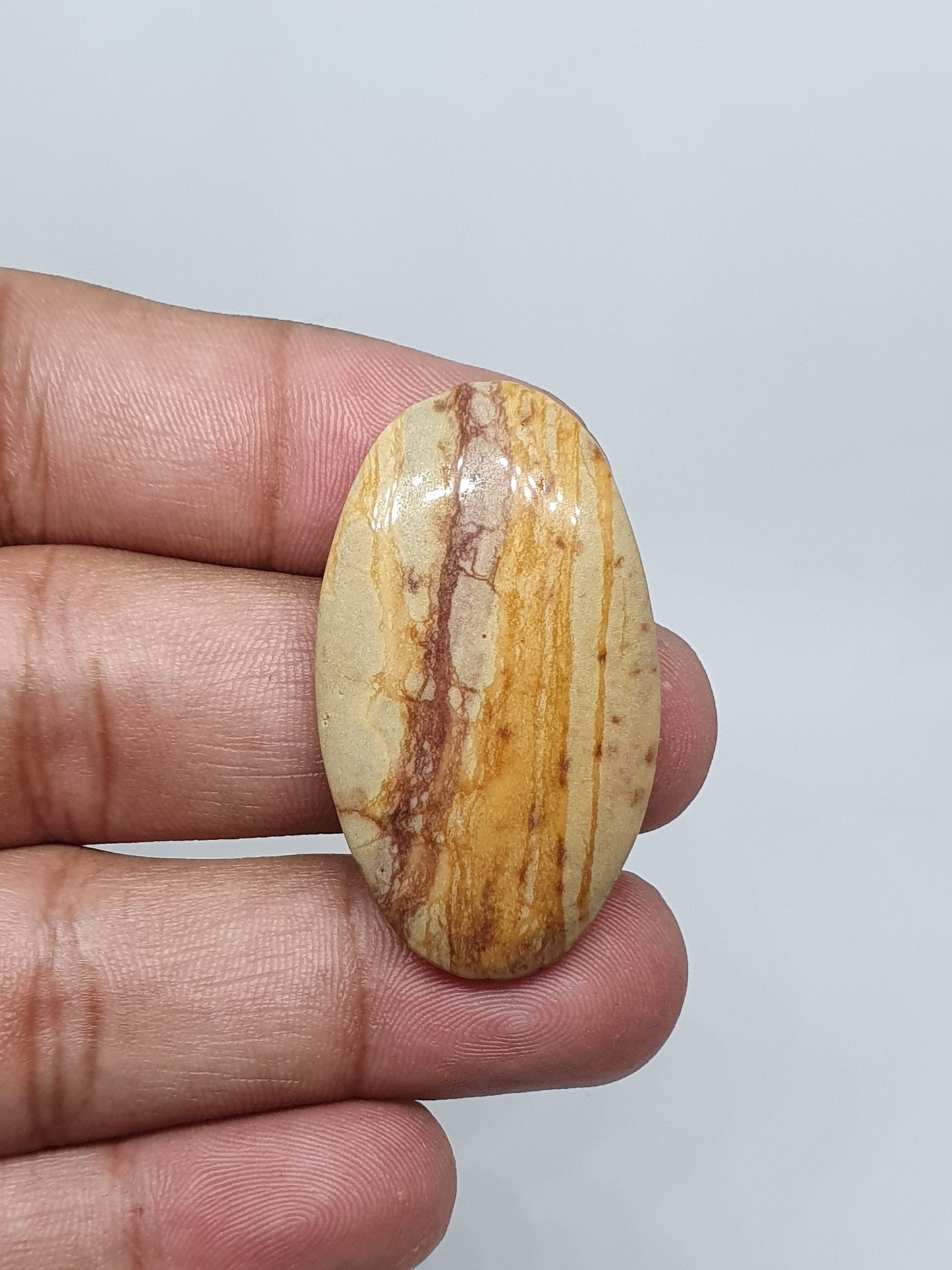 Picture Jasper Cabochons: Natural Gemstone, AAA Quality