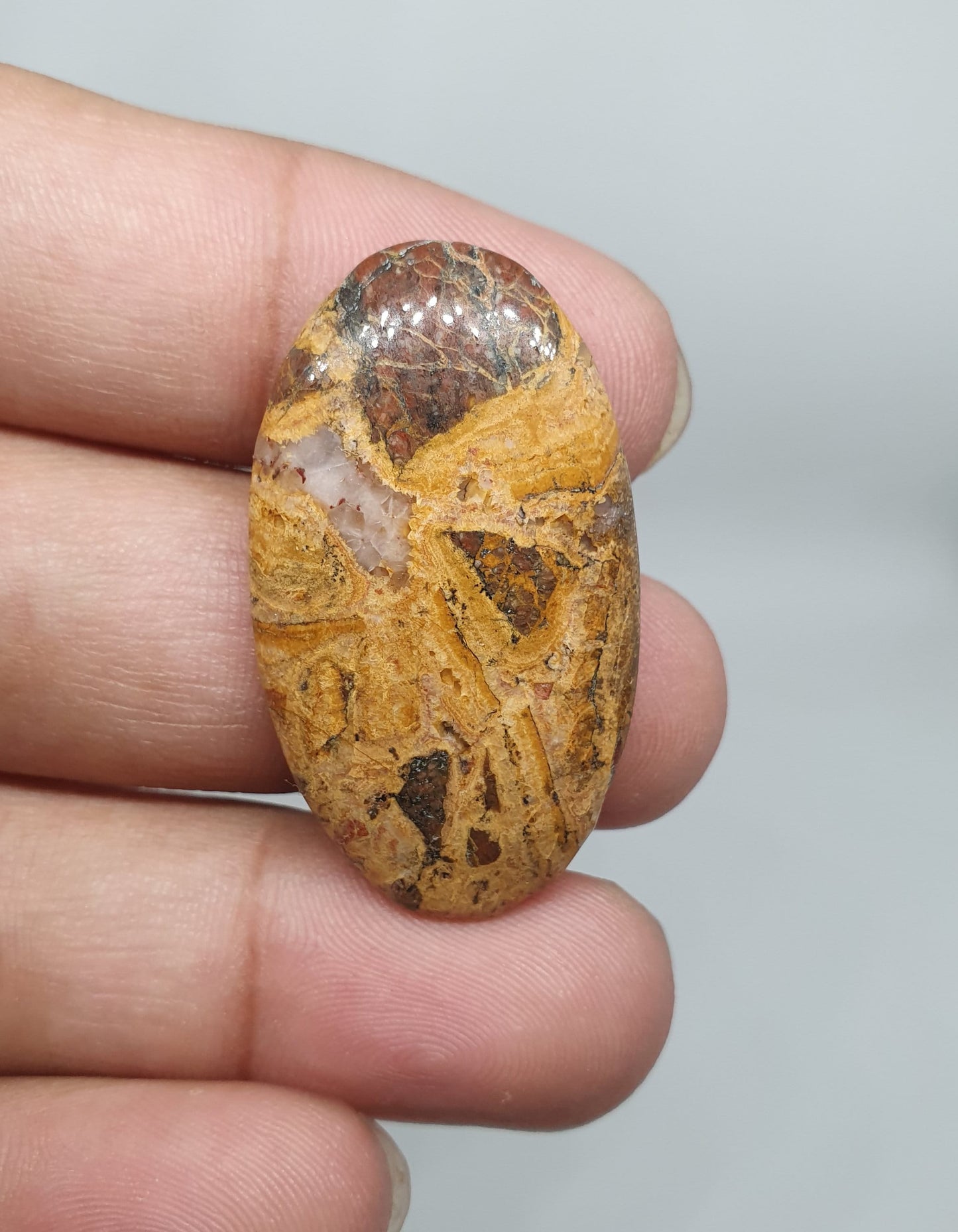 Rare Fruti Jasper Cabochon: Natural Loose Gemstone