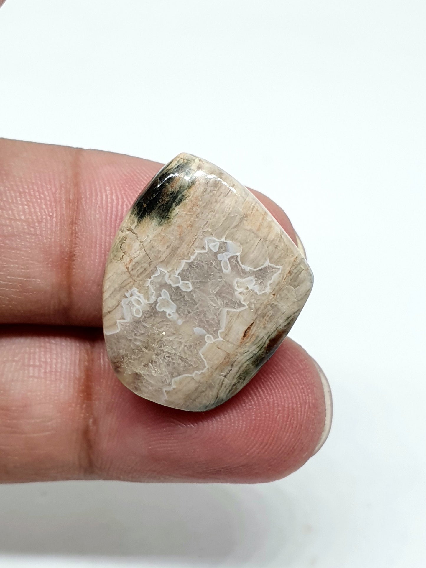 Fancy Ocean Jasper Cabochon, Loose Gemstone (22 X 19 X 5mm)