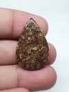 Teardrop Turritella Agate Cabochon: Natural Jewelry Making Stone (32x20x6mm)