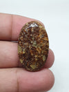 Natural Turritella Agate Cabochon: Oval Jewelry Making Stone