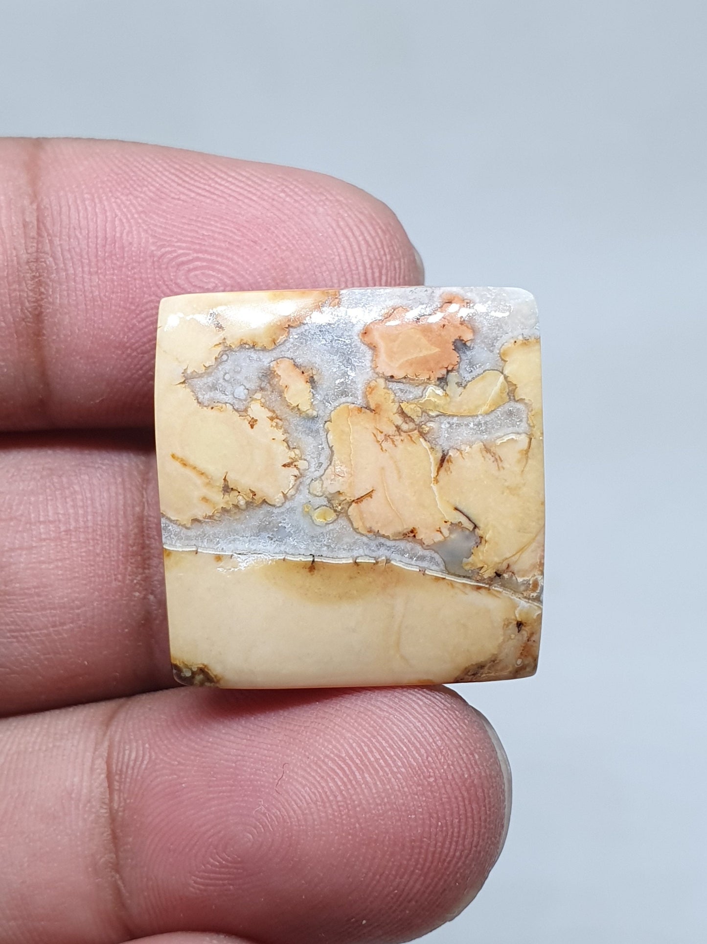 Square Maligano Jasper Cabochon, Loose Gemstone (23 X 23 X 6mm)