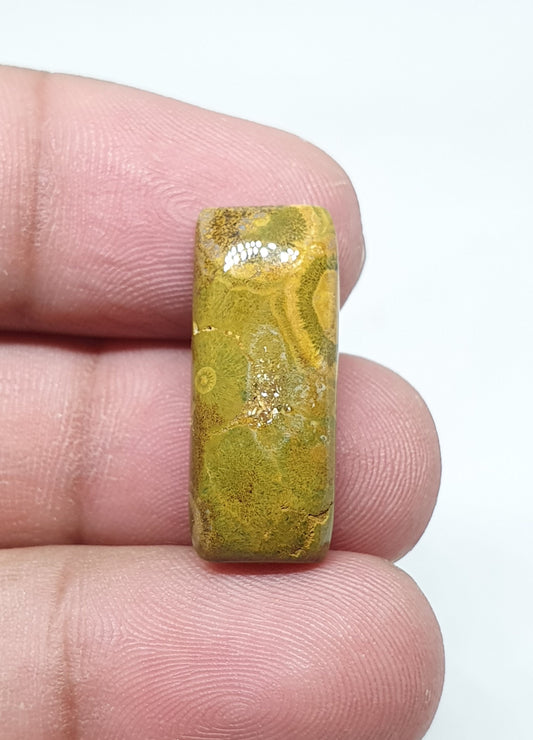 Rectangle Ocean Jasper Cabochon, AAA Quality Gemstone