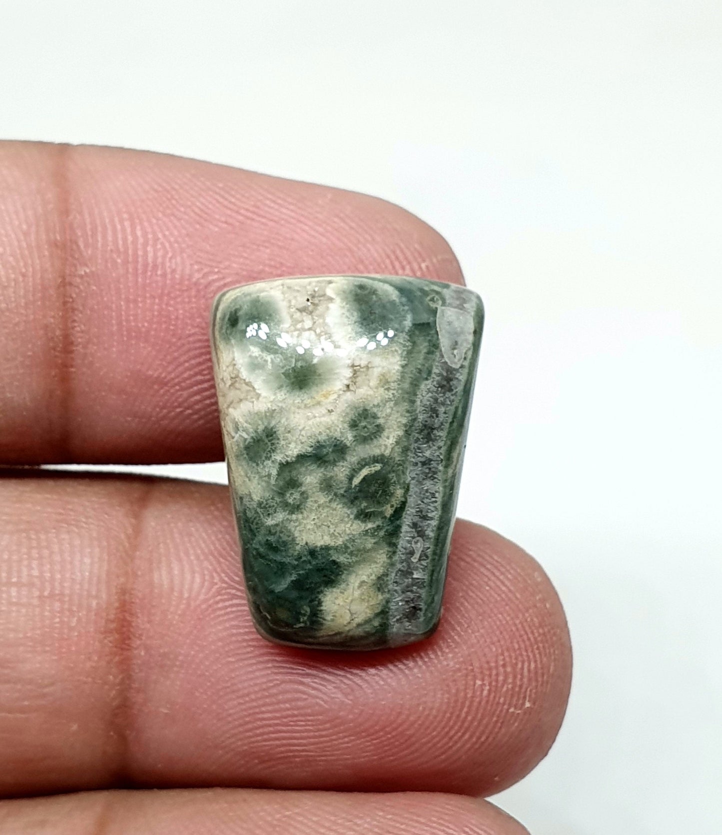 Ocean Jasper Gemstone Cabochon: Fancy AAA Quality (20 X 15 X 6 mm)