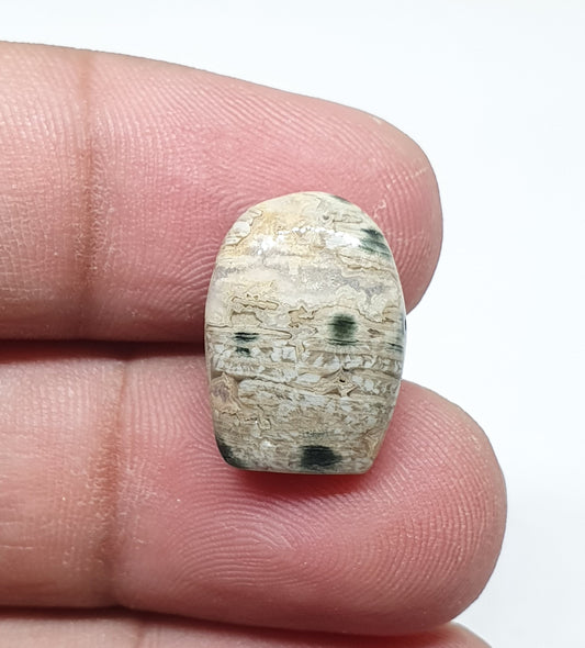 AAA Ocean Jasper Cabochon: Fancy Gemstone (17 X 12 X 5 mm)