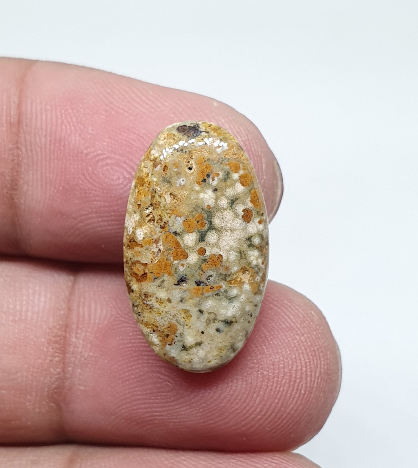 Oval Ocean Jasper Cabochon, AAA Quality Gemstone (21 X 14 X 4 mm)