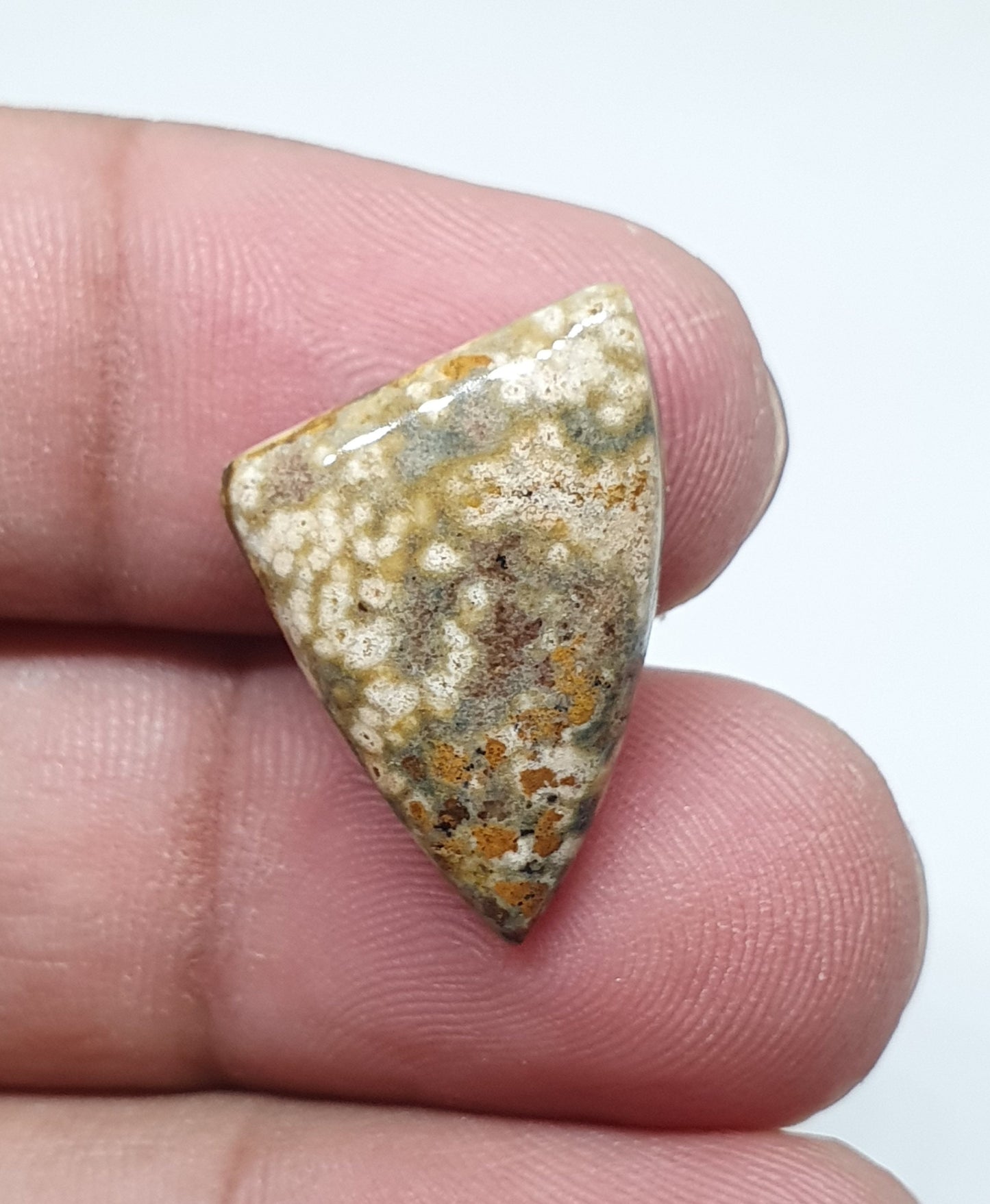 Triangle Ocean Jasper Cabochon, AAA Quality Gemstone