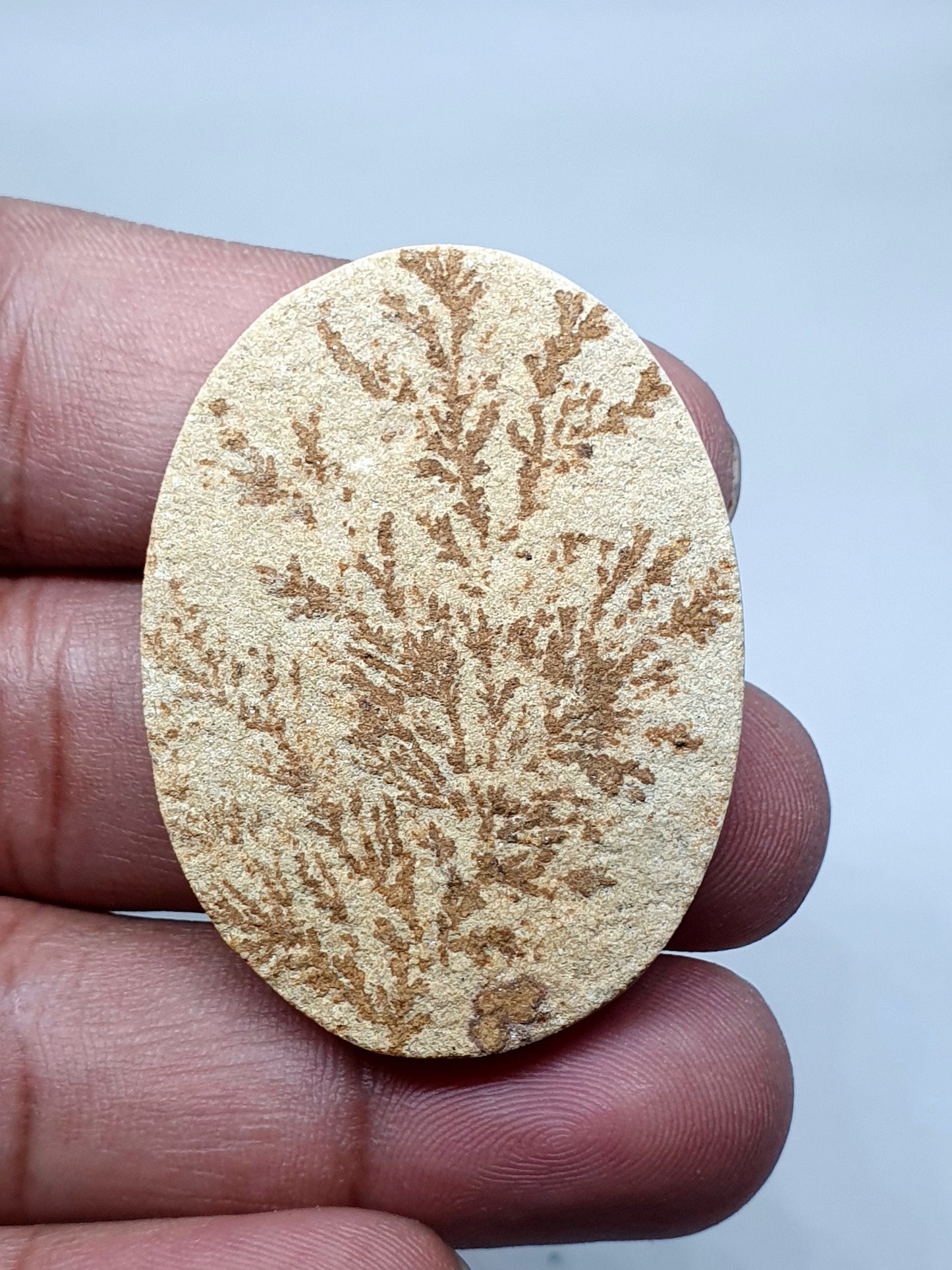 Oval Psilomelane Dendrite Cabochon: AAA Quality Loose Gemstone
