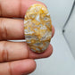 AAA Ocean Jasper Cabochon: Rare Loose Gemstone
