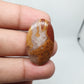 Thunder Agate Cabochon: AAA Quality Loose Gemstone