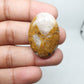 Thunder Agate Cabochon: AAA Quality Loose Gemstone