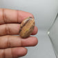 AAA Zebra Jasper Cabochon: Rare Oval Loose Gemstone