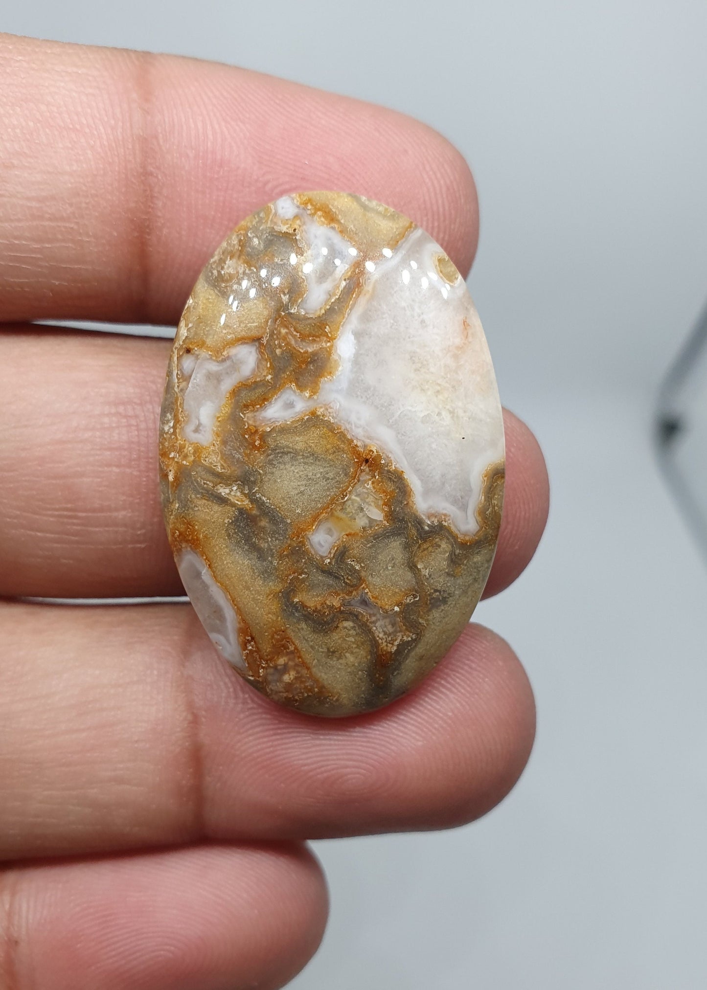 AAA Ocean Jasper Cabochon: Rare Loose Gemstone