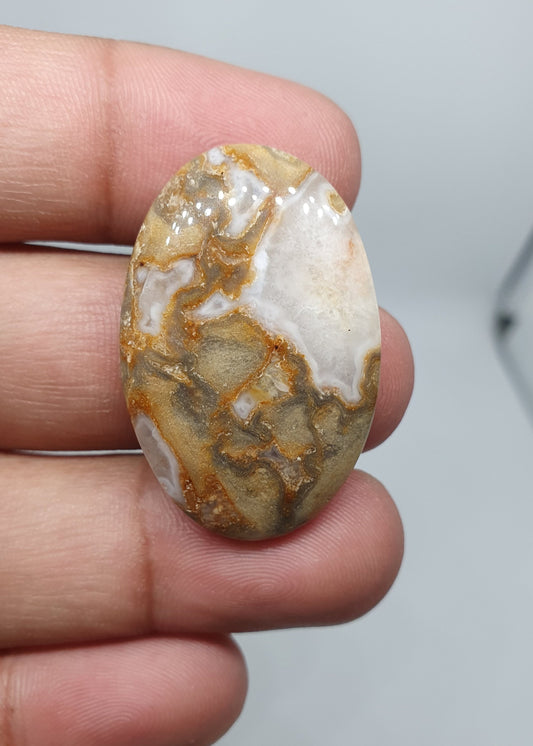 AAA Ocean Jasper Cabochon: Rare Loose Gemstone