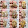 AAA Ocean Jasper Cabochon: Rare Loose Gemstone