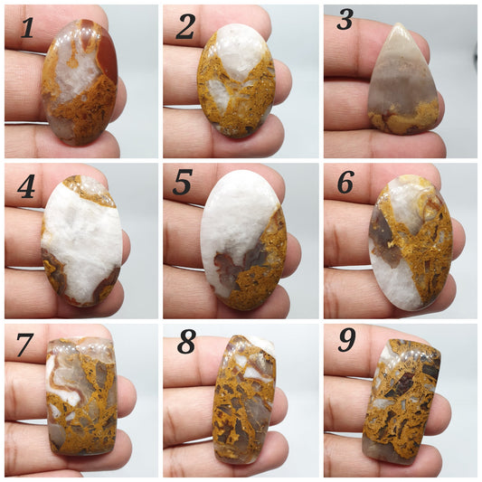 Thunder Agate Cabochon: AAA Quality Loose Gemstone