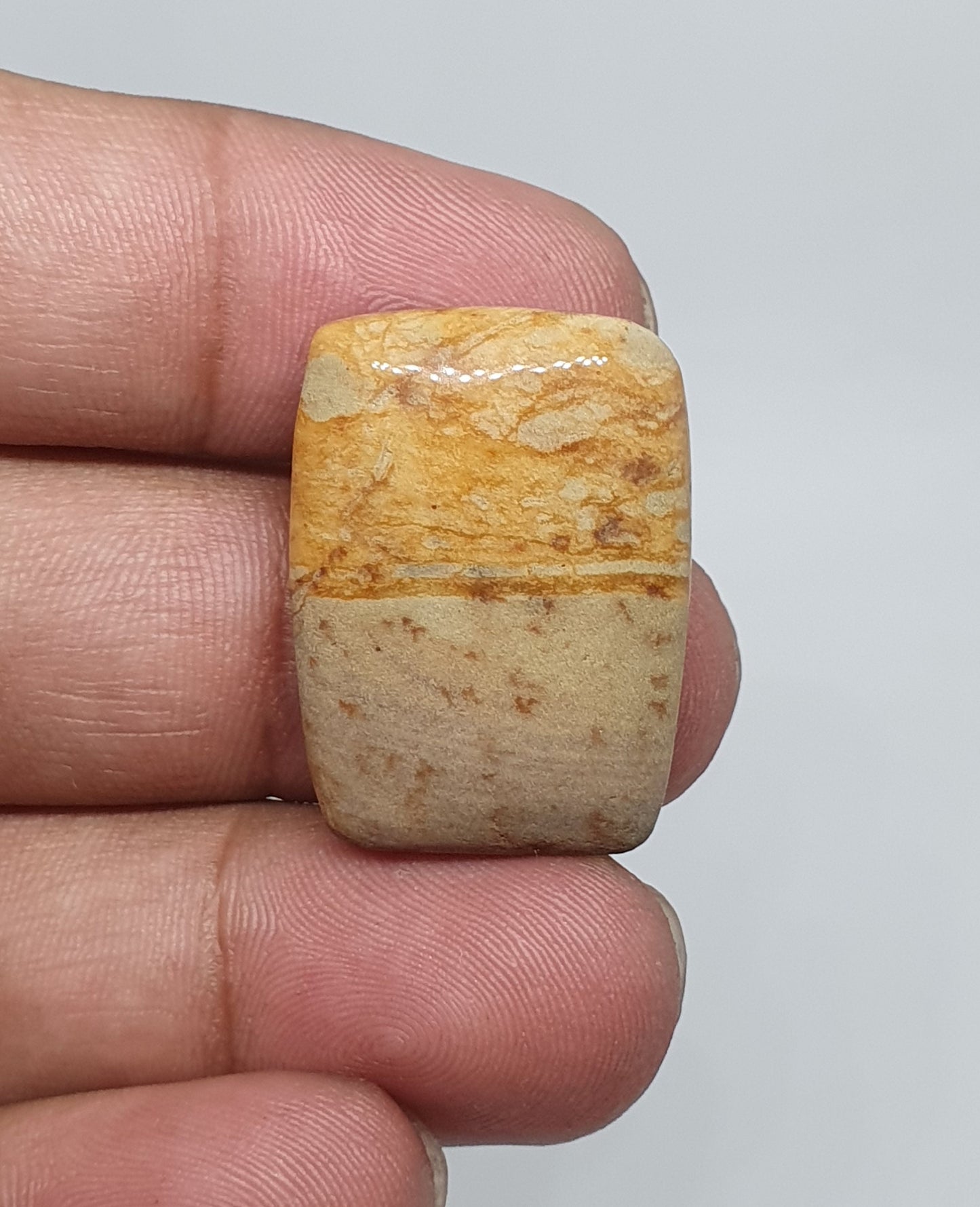 Picture Jasper Cabochons: Natural Gemstone, AAA Quality