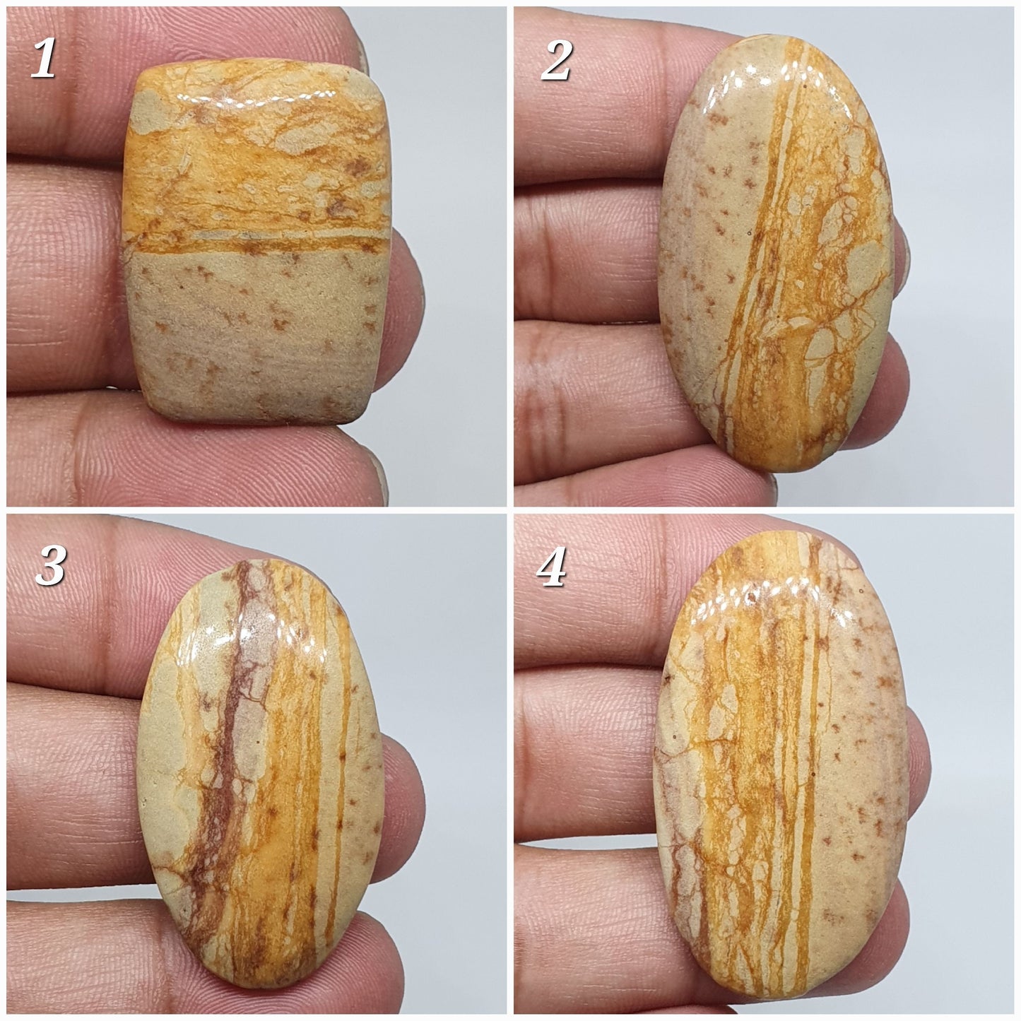 Picture Jasper Cabochons: Natural Gemstone, AAA Quality