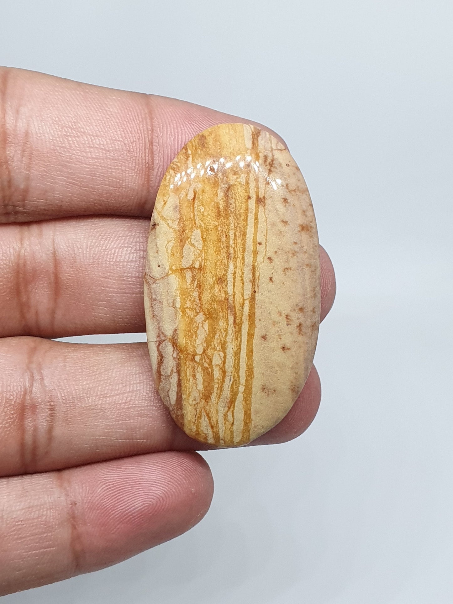 Picture Jasper Cabochons: Natural Gemstone, AAA Quality