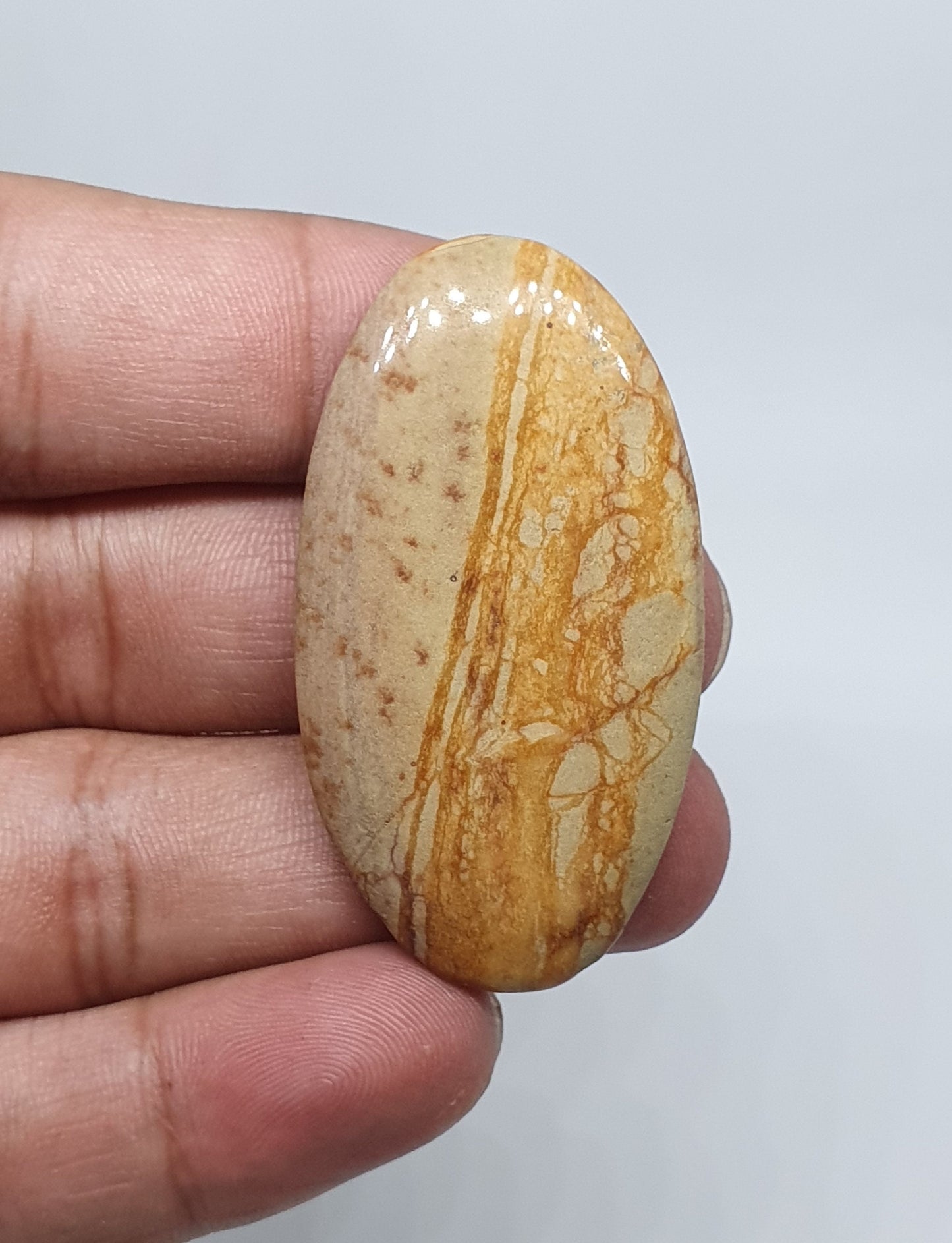 Picture Jasper Cabochons: Natural Gemstone, AAA Quality