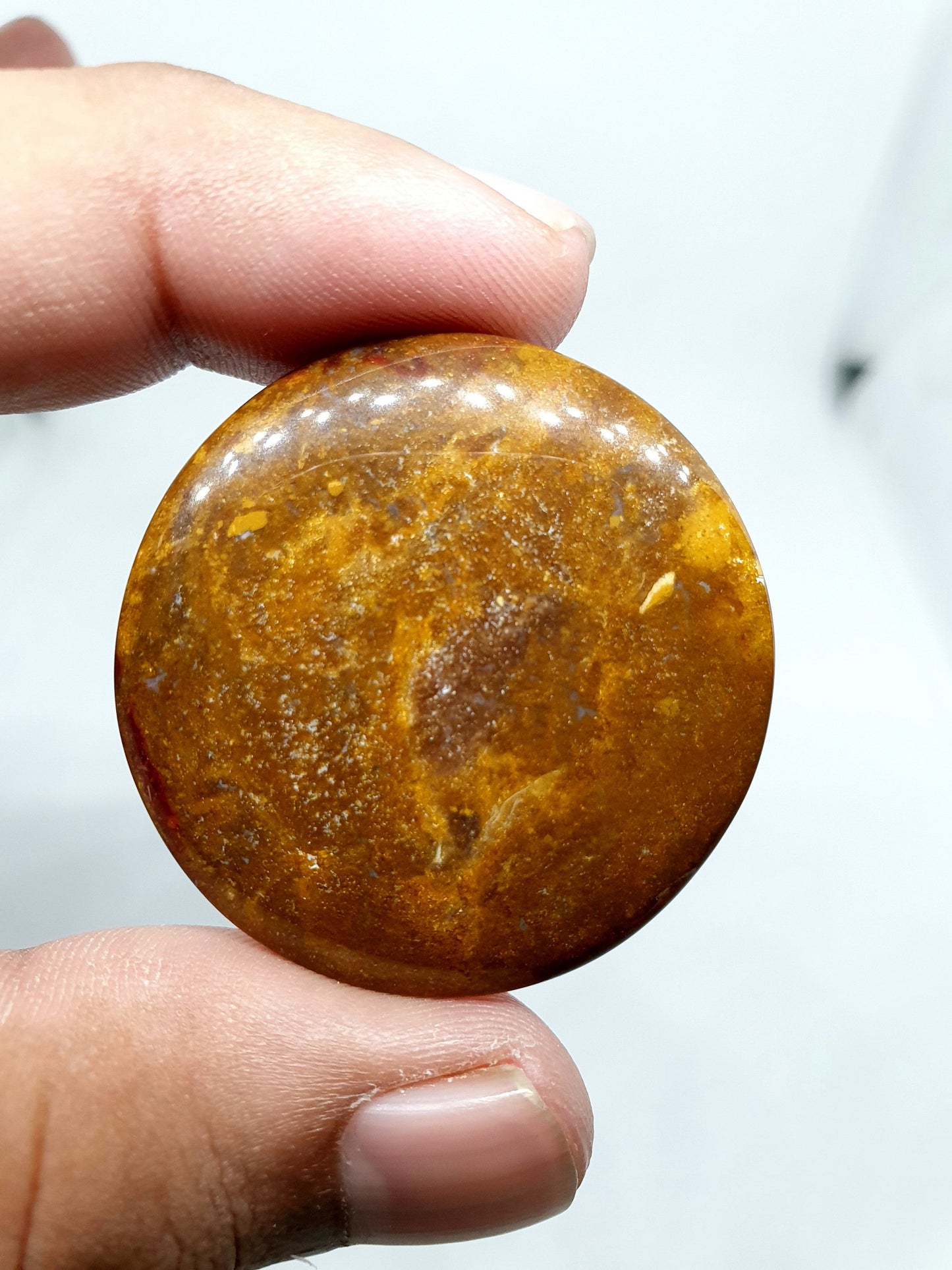 Round Brown Mookaite Jasper Cabochon (37 X 5 mm)
