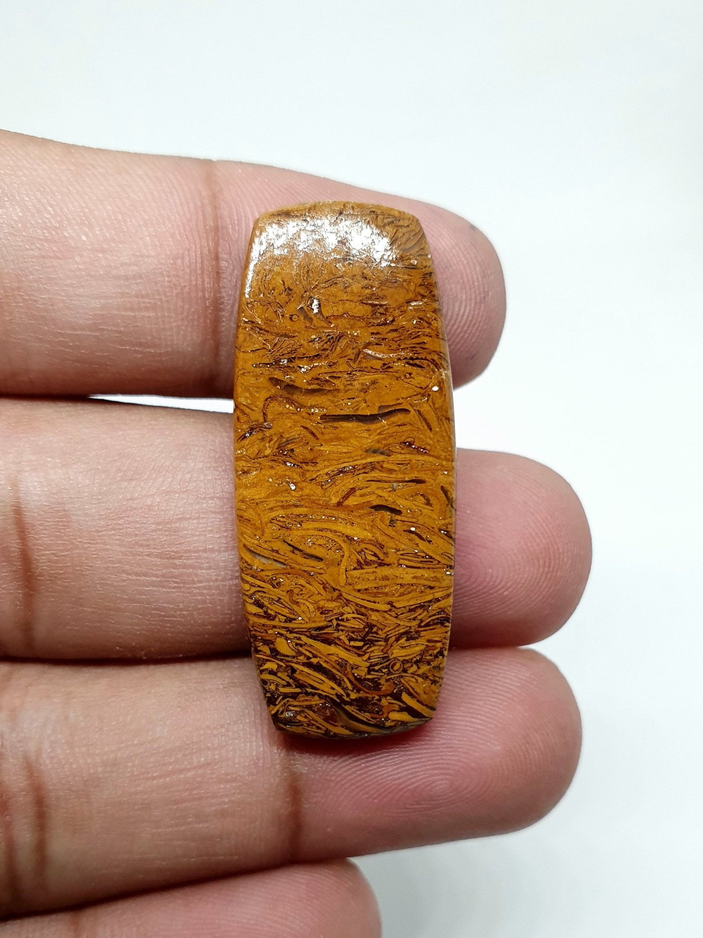 AAA Mariam Jasper Cabochon: Loose Coffin Gemstone