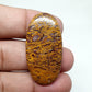 AAA Mariam Jasper Cabochon: Loose Coffin Gemstone