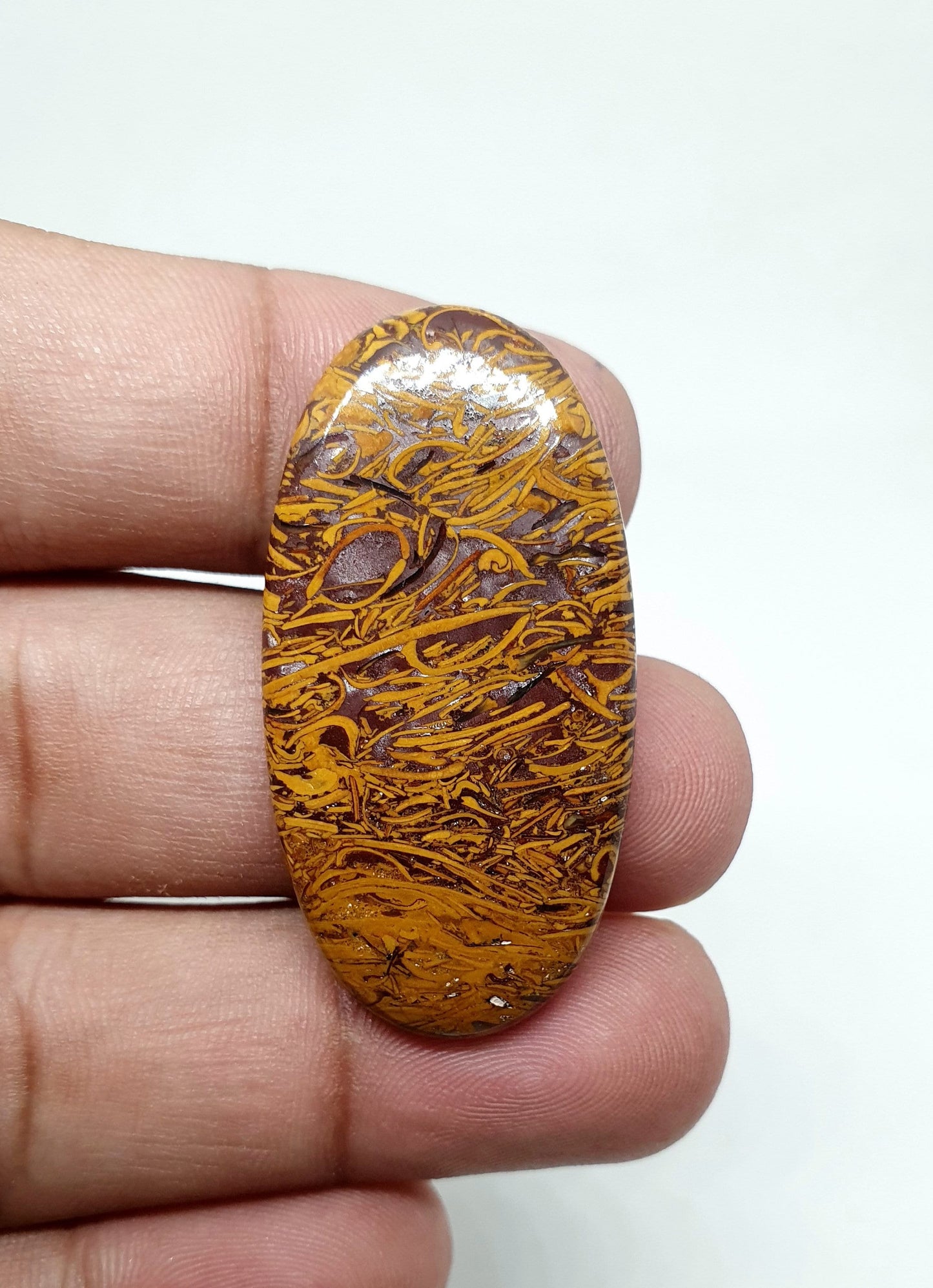AAA Mariam Jasper Cabochon: Loose Coffin Gemstone