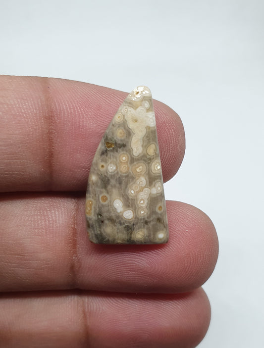 Ocean Jasper Fancy Cabochon, AAA Quality Gemstone