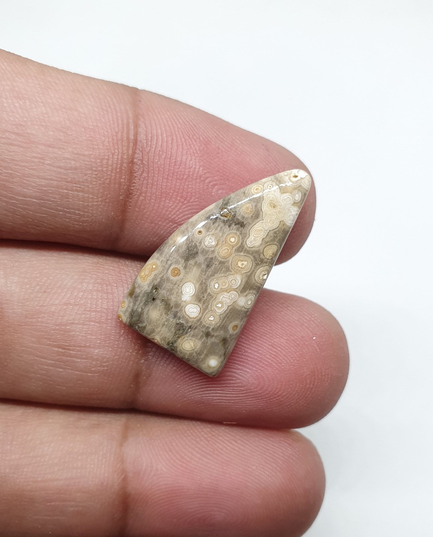 Ocean Jasper Fancy Cabochon, AAA Quality Gemstone