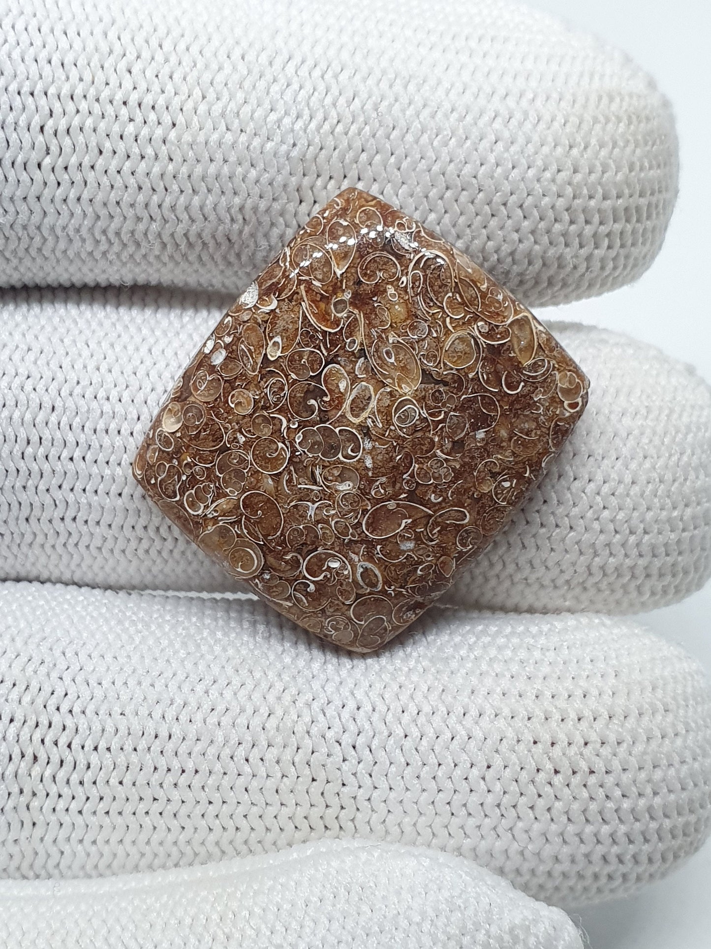 Natural Turritella Agate Cabochon: Square Jewelry Making Stone