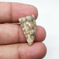 Ocean Jasper Fancy Cabochon, AAA Quality Gemstone