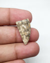 Ocean Jasper Fancy Cabochon, AAA Quality Gemstone