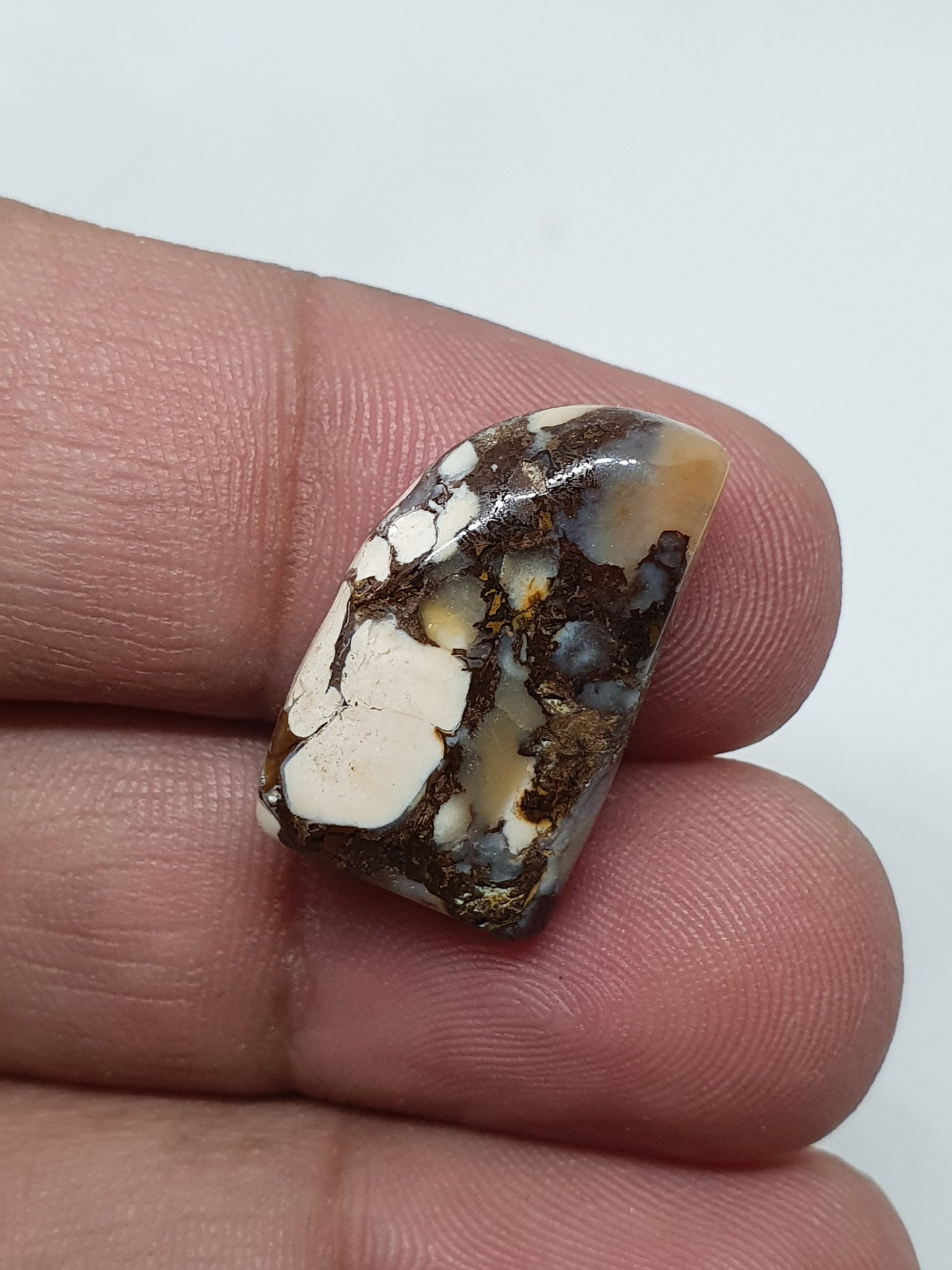 Tooth Shape Ocean Jasper Cabochon: AAA Quality Gemstone (21 X 13 X 5 mm)