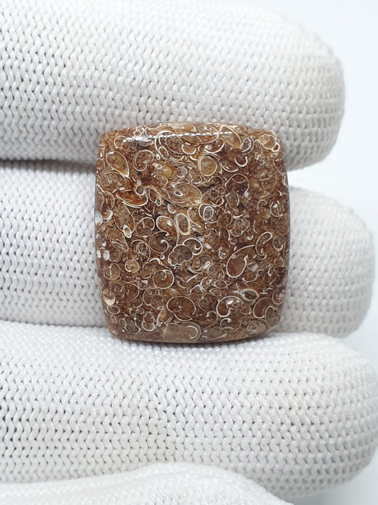 Natural Turritella Agate Cabochon: Square Jewelry Making Stone