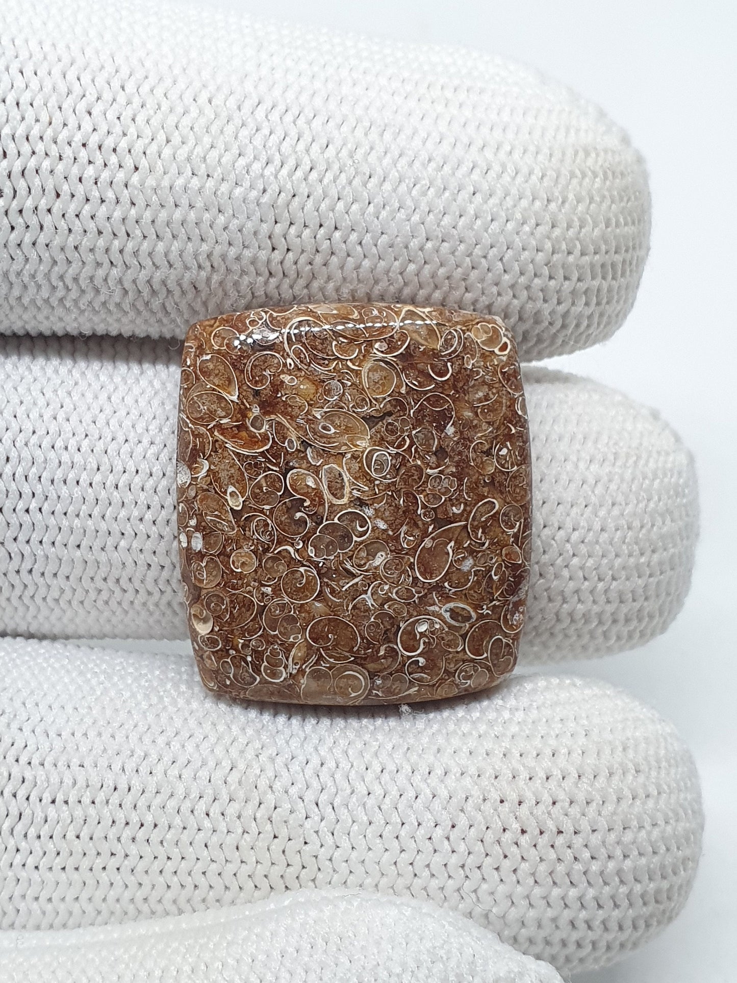 Natural Turritella Agate Cabochon: Square Jewelry Making Stone