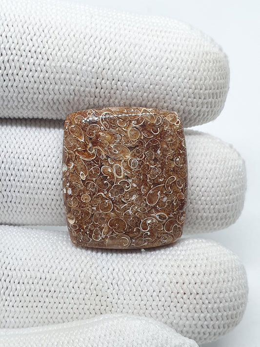Natural Turritella Agate Cabochon: Square Jewelry Making Stone