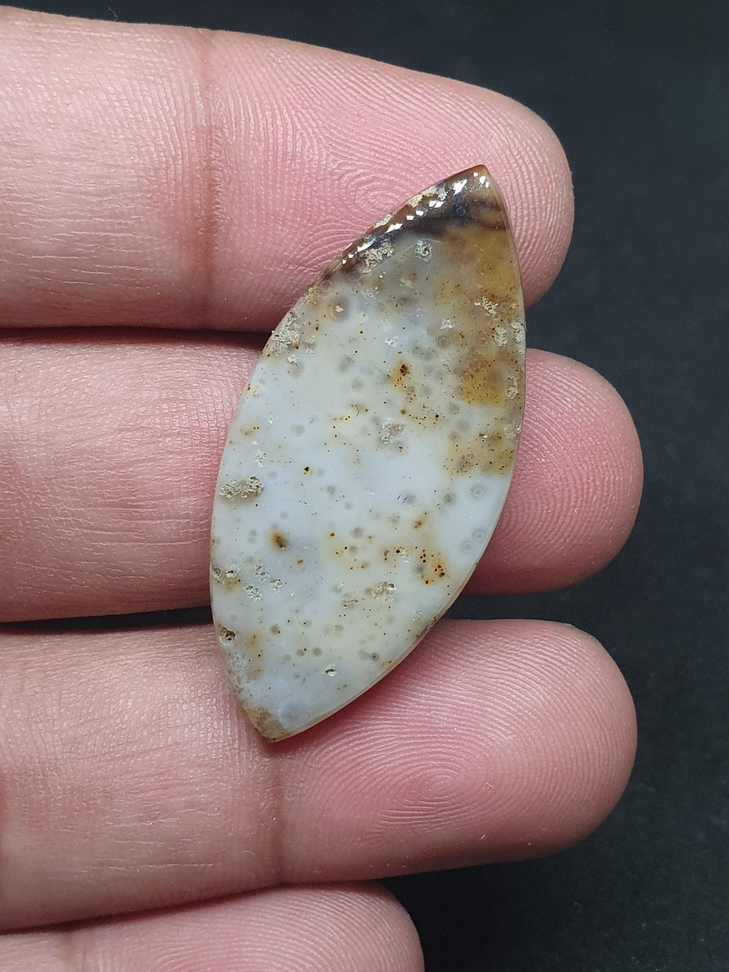 Marquise Ocean Jasper Cabochon: AAA Grade Gemstone (38 X 17 X 5mm)