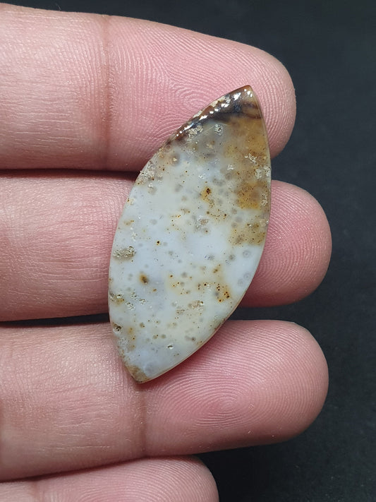 Marquise Ocean Jasper Cabochon: AAA Grade Gemstone (38 X 17 X 5mm)