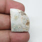 Fancy Ocean Jasper Cabochon: AAA Grade Gemstone (26 X 21 X 5 mm)