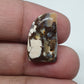 Tooth Shape Ocean Jasper Cabochon: AAA Quality Gemstone (21 X 13 X 5 mm)