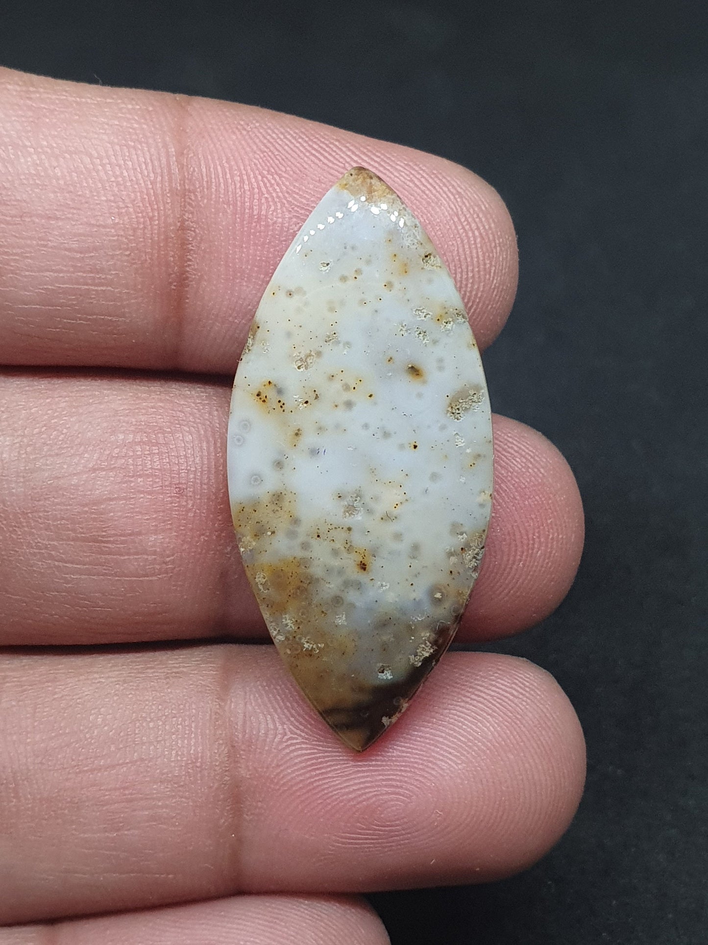 Marquise Ocean Jasper Cabochon: AAA Grade Gemstone (38 X 17 X 5mm)