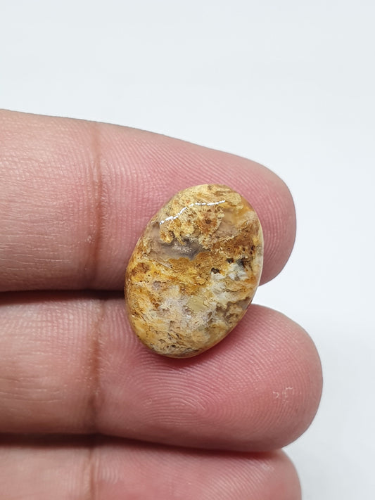 Oval Jasper Cabochon: Natural Loose Gemstone (19 X 13 X 5 mm)
