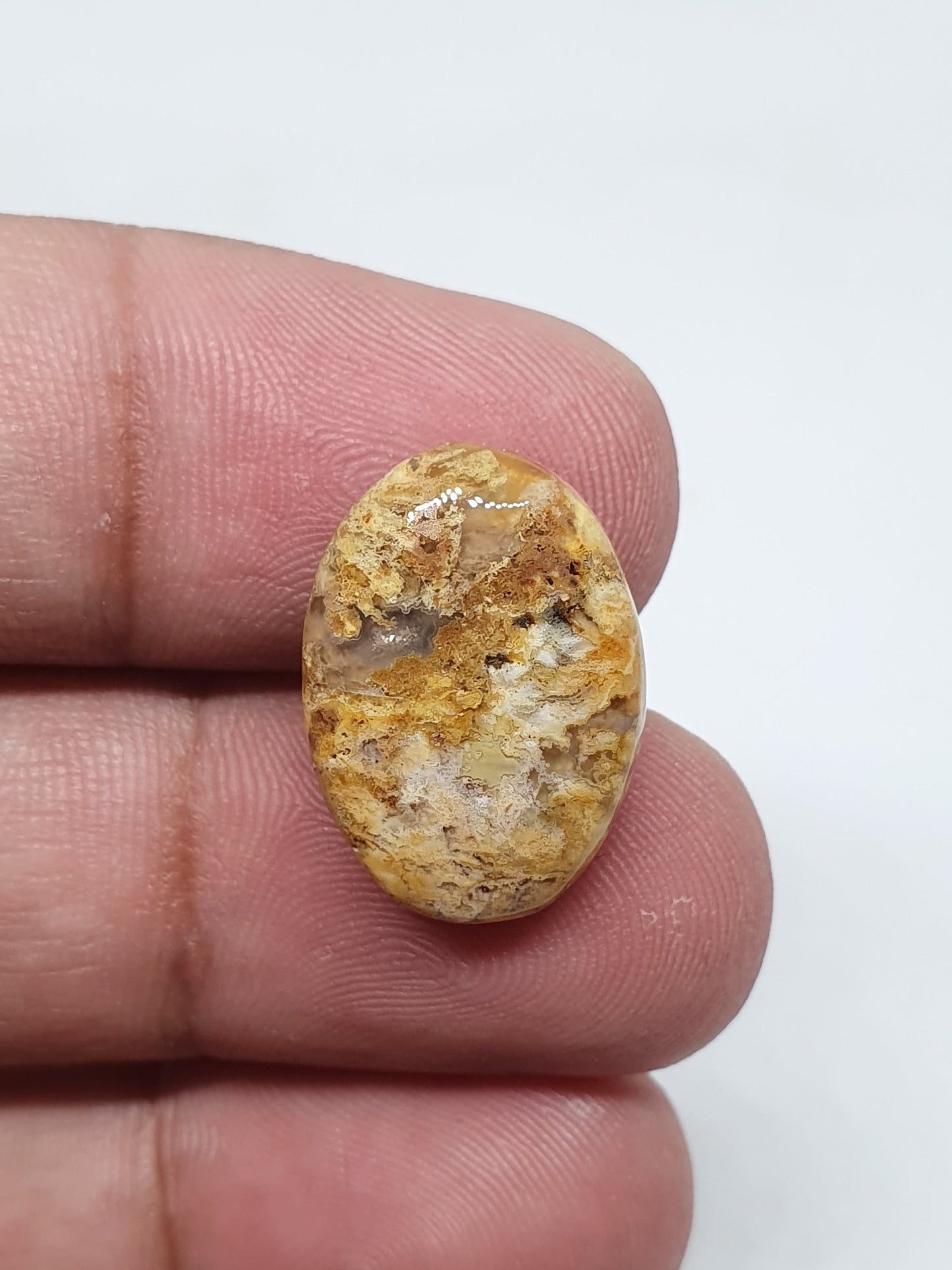 Oval Jasper Cabochon: Natural Loose Gemstone (19 X 13 X 5 mm)