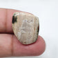 Fancy Ocean Jasper Cabochon, Loose Gemstone (22 X 19 X 5mm)