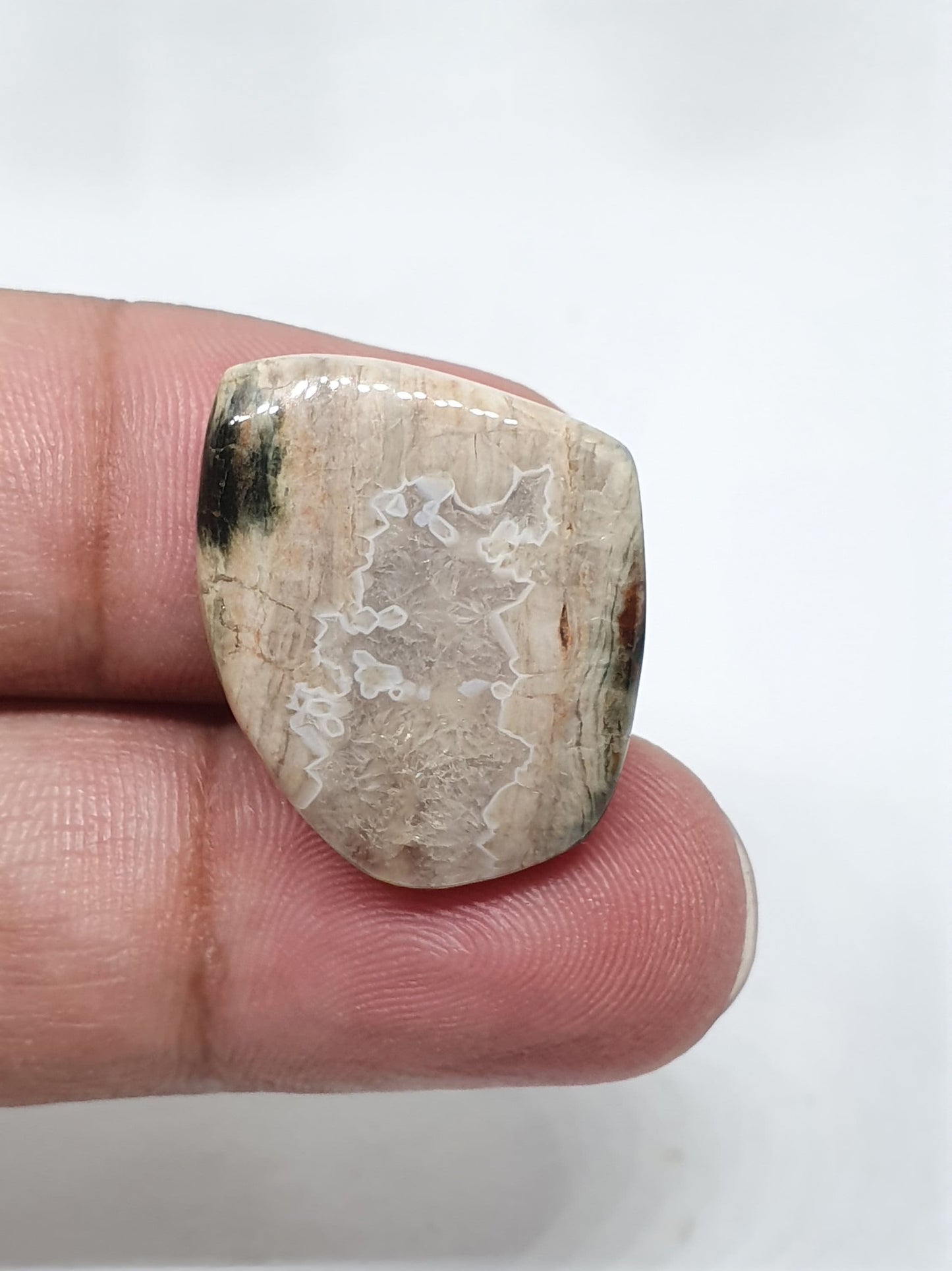 Fancy Ocean Jasper Cabochon, Loose Gemstone (22 X 19 X 5mm)