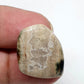 Fancy Ocean Jasper Cabochon, Loose Gemstone (22 X 19 X 5mm)