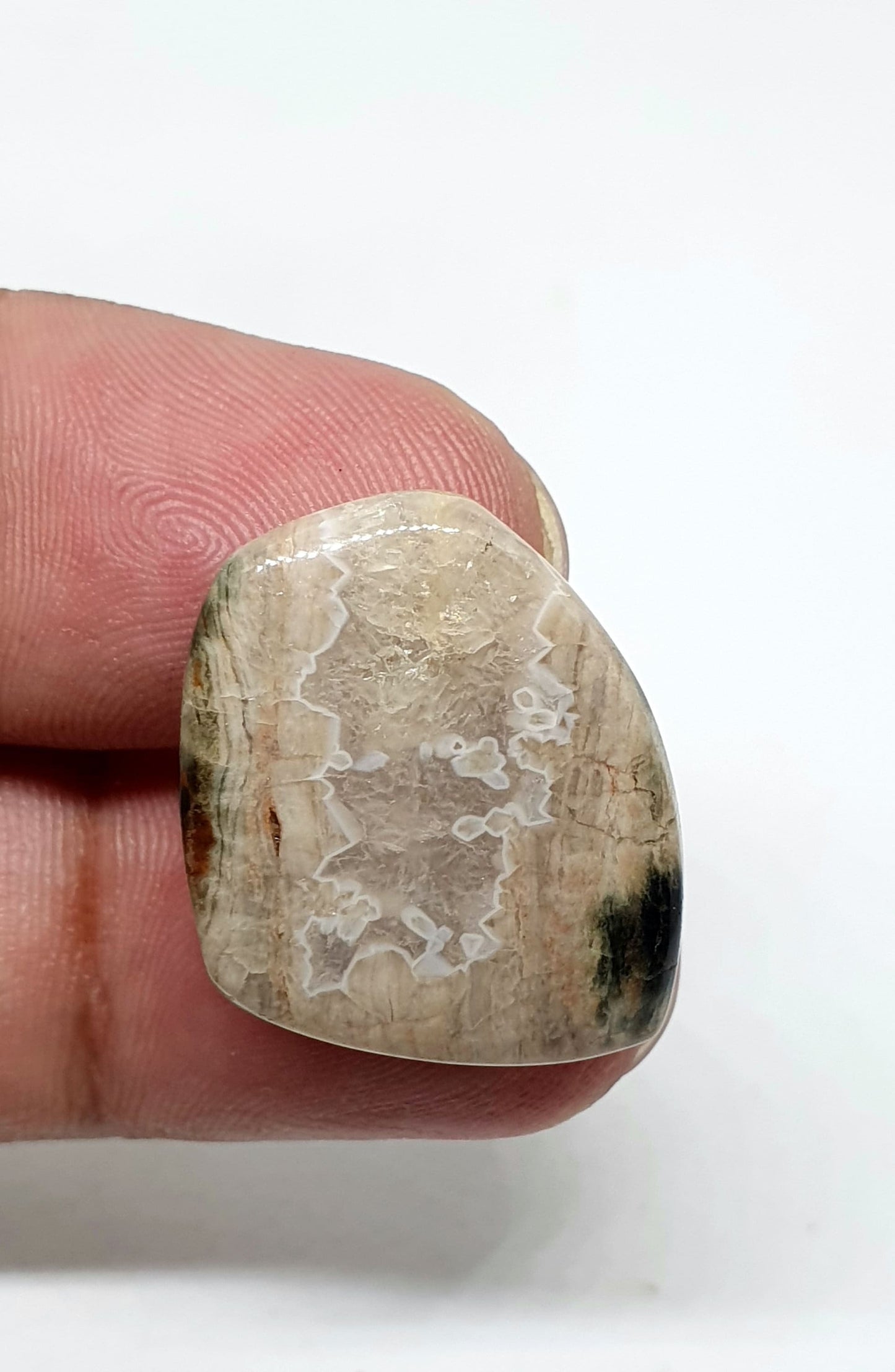 Fancy Ocean Jasper Cabochon, Loose Gemstone (22 X 19 X 5mm)
