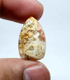 Fancy Jasper Cabochon: AAA Quality Loose Gemstone (27 X 15 X 6 mm)